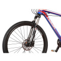 High Grade 30 Speed Mountain Bike Cameron Style MTB (FP-MTB-A03)